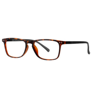 Готови очила за четене MAGNIVISION P15886/06 +1.00 dpt